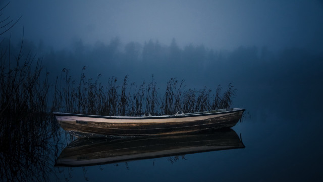 Foggy water rowboat tallgrass nature free wallpaper for desktop - medium preview image