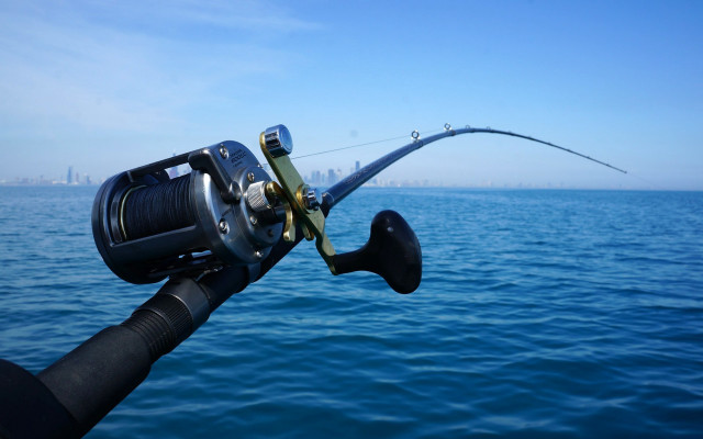 Fishing rod city water shallow free wallpaper for desktop - medium preview image