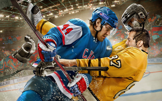 Icehockey game two men crowd free wallpaper for desktop - medium preview image