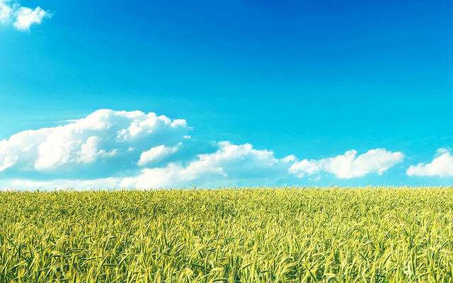 Green grass blue sky clouds #24 free wallpaper for desktop - medium preview image