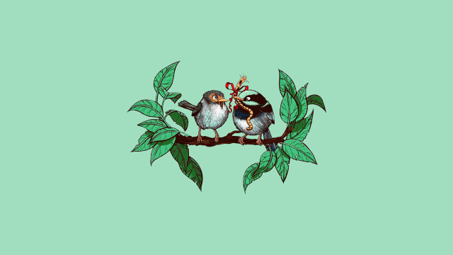 Birds branch leaves bow storybook free wallpaper for desktop - medium preview image