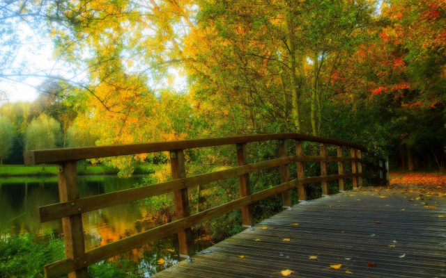 Wooden bridge river autumn leaves free wallpaper for desktop - medium preview image