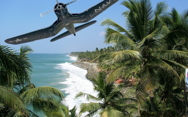 Plane beach palm ocean matte free wallpaper for desktop - medium preview image