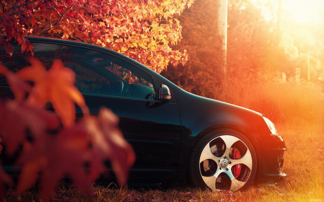 Car field trees autumn leaves free wallpaper for desktop - medium preview image