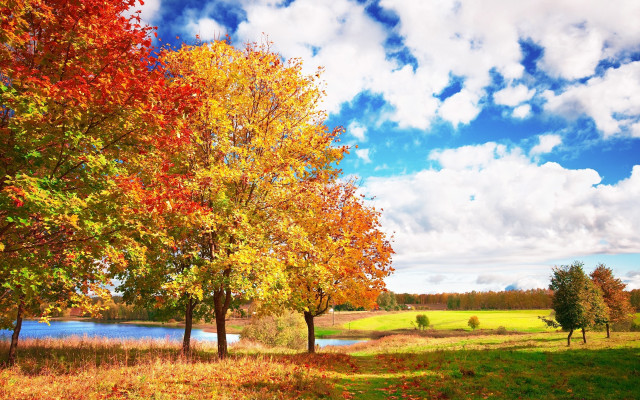 Autumn lake trees clouds sky #2 free wallpaper for desktop - medium preview image