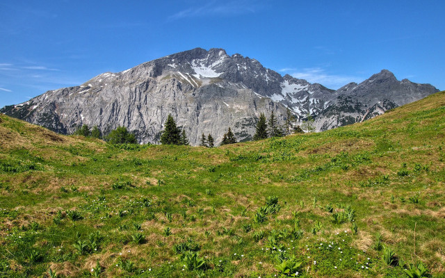 Mountain field trees snowsky cloud free wallpaper for desktop - medium preview image