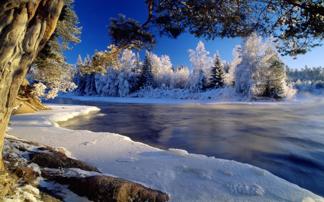 Lake snow covered trees ice free wallpaper for desktop - medium preview image