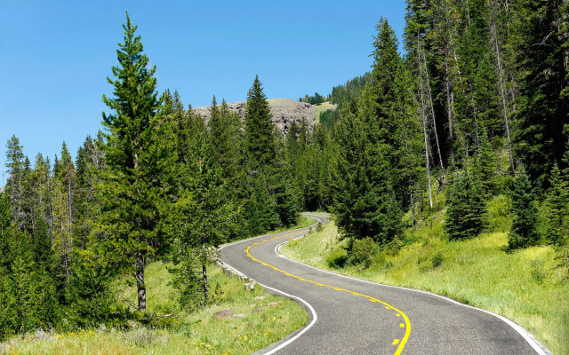 Winding road forest mountain blue free wallpaper for desktop - medium preview image