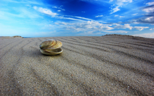 Shell beach blue sky clouds free wallpaper for desktop - medium preview image