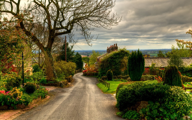 Road tree bushes house landscape free wallpaper for desktop - medium preview image