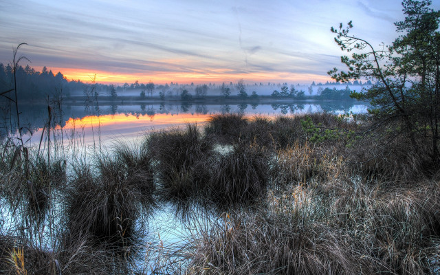 Lake sunset forest bushes citylights free wallpaper for desktop - medium preview image