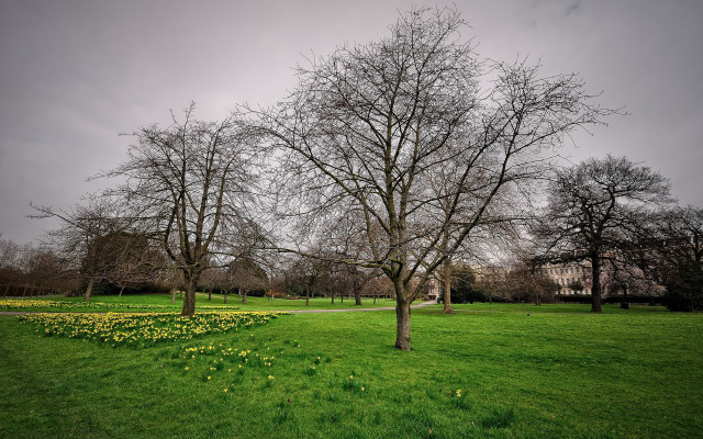 Tree grassy field house tilt free wallpaper for desktop - medium preview image