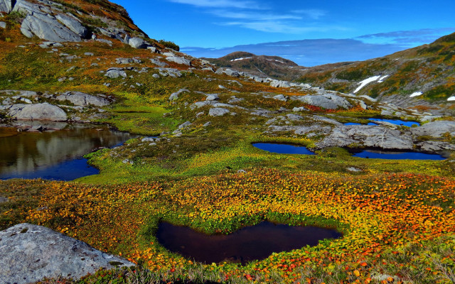 Mountain pond flowers ecological puzzle free wallpaper for desktop - medium preview image