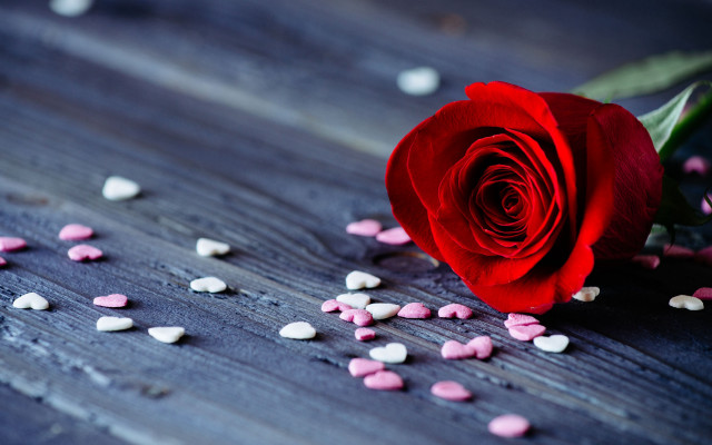 Romantic 3d roses petals flower free wallpaper for desktop - medium preview image