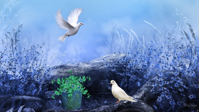White bird over tree stump free wallpaper for desktop - medium preview image