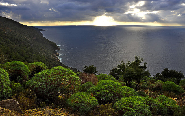 Lake horizon mountain forest sunset free wallpaper for desktop - medium preview image