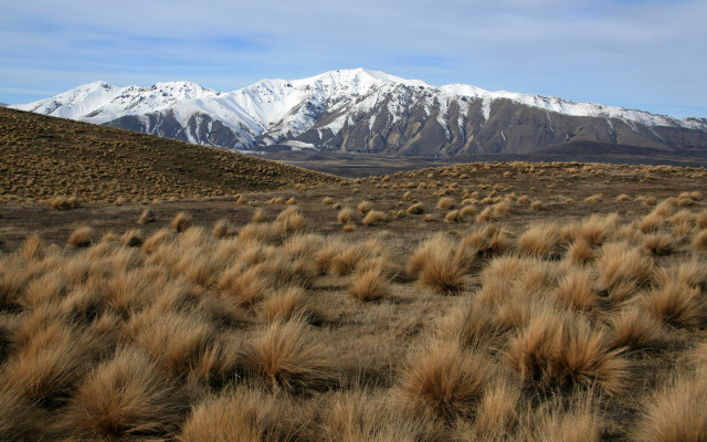 Field mountains bushes snow matte free wallpaper for desktop - medium preview image