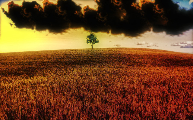 Lone tree yellow sky clouds free wallpaper for desktop - medium preview image