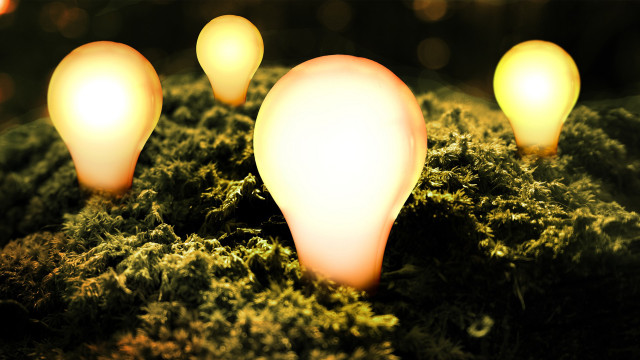 Light bulbs moss ground night free wallpaper for desktop - medium preview image