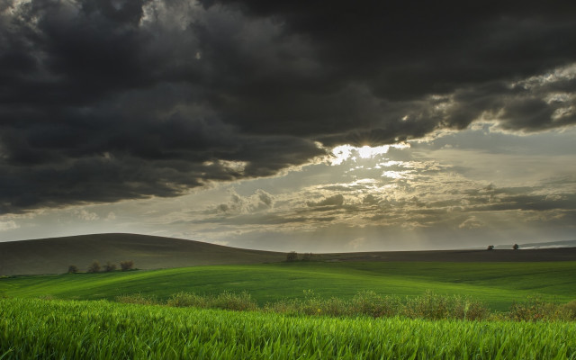 Cloudy sky sunshine green field free wallpaper for desktop - medium preview image