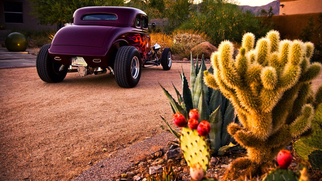 Purple car cactus house redroof free wallpaper for desktop - medium preview image