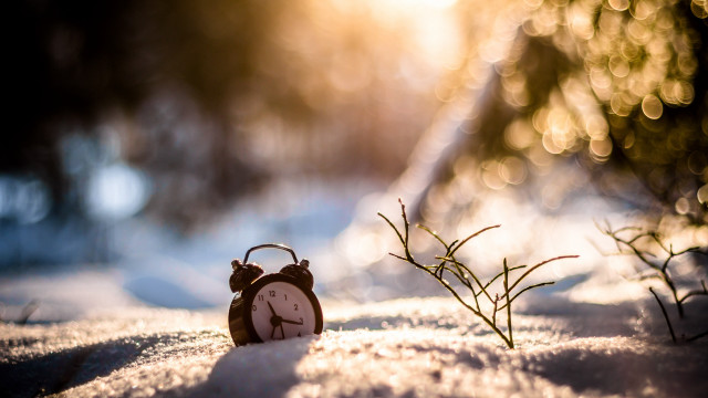 Small clock snow tree branch free wallpaper for desktop - medium preview image