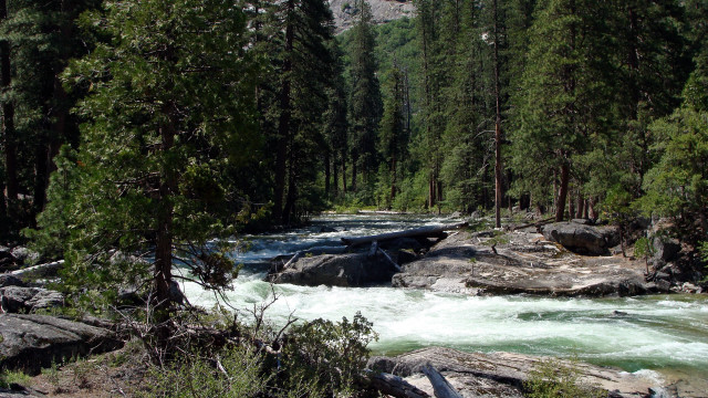 River forest rocks water rapids free wallpaper for desktop - medium preview image