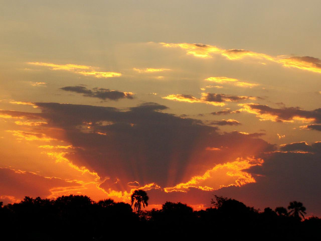 Sunset plane trees clouds sky free wallpaper for desktop - medium preview image