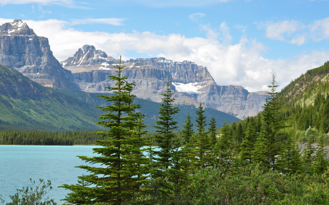 Mountain lake trees snowy horizon free wallpaper for desktop - medium preview image