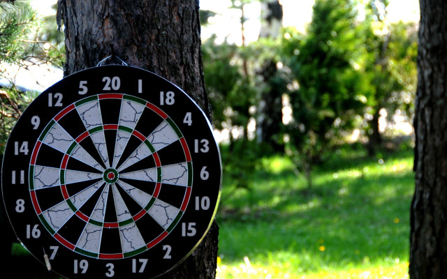 Dart tree park nature bush free wallpaper for desktop - medium preview image