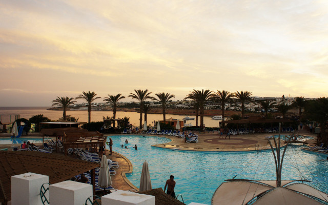 Large pool beach cityscape sunset free wallpaper for desktop - medium preview image