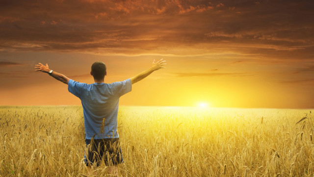 Man outstretched arms sunset field free wallpaper for desktop - medium preview image