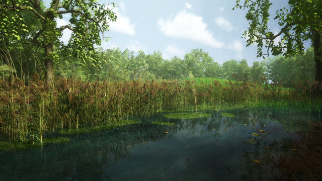 Swampy landscape blue sky trees free wallpaper for desktop - medium preview image