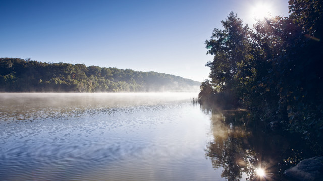 Lake foggy shore forest sunset free wallpaper for desktop - medium preview image