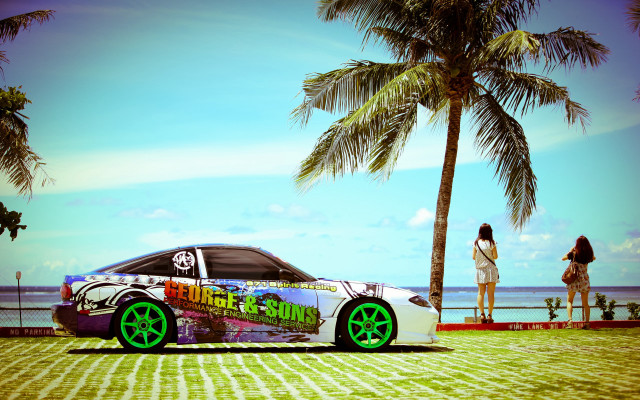 Car palm tree woman matte free wallpaper for desktop - medium preview image