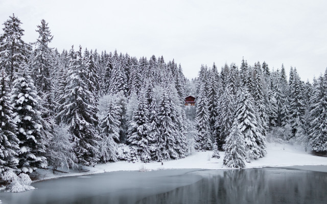Lake snow trees forest red free wallpaper for desktop - medium preview image