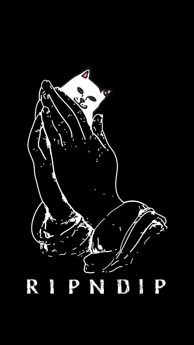 Black white cat ripndip chest free wallpaper for mobile - medium preview image