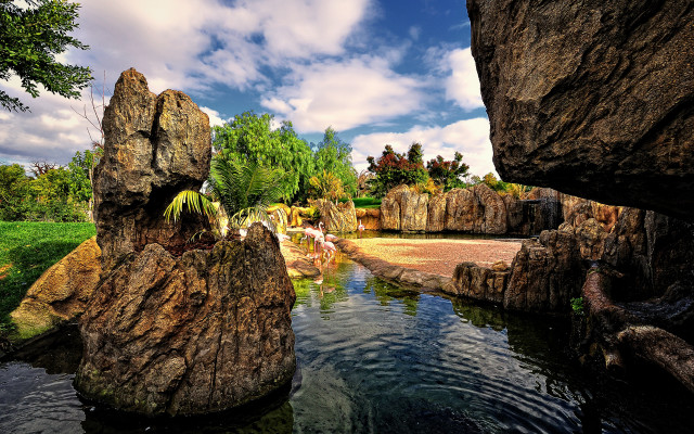 Pond rocks trees cloudy sky free wallpaper for desktop - medium preview image