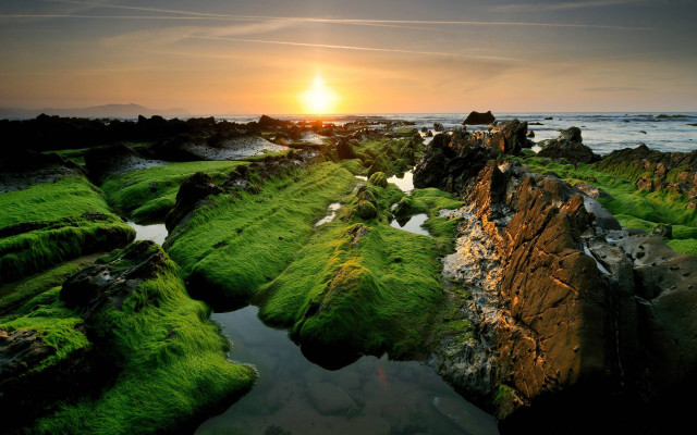 Sunset rocky beach green algae #7 free wallpaper for desktop - medium preview image