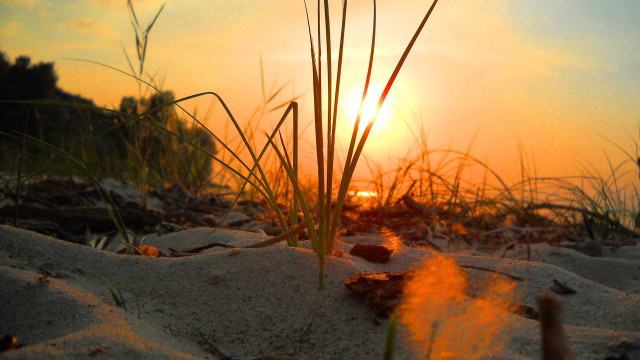 Sunset beach grass dusk fire free wallpaper for desktop - medium preview image