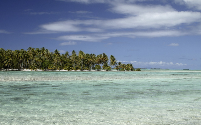 Tropical island palm trees boat free wallpaper for desktop - medium preview image