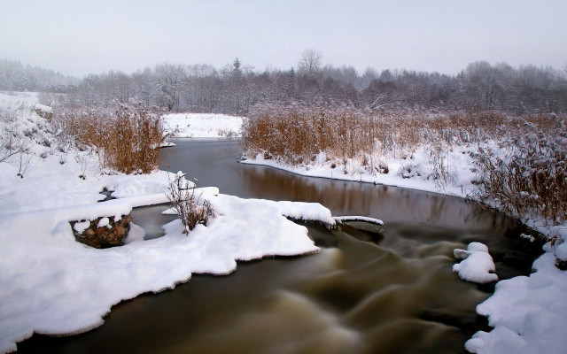 River snowy forest bushes ecological #2 free wallpaper for desktop - medium preview image