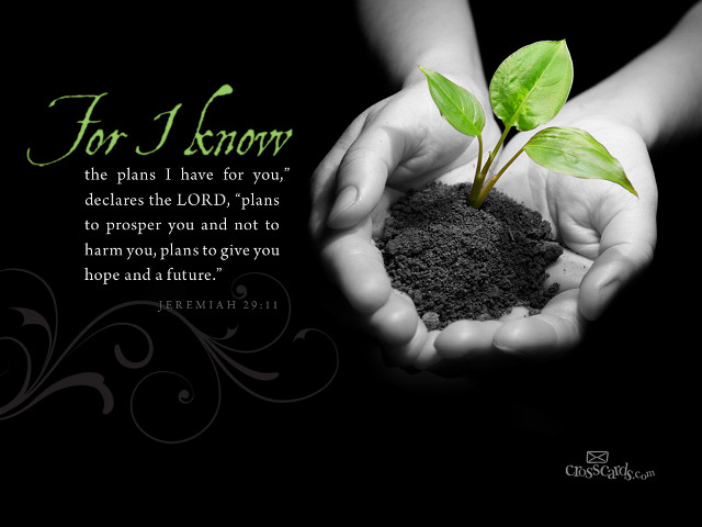 Person holding plant bible verse free wallpaper for desktop - medium preview image