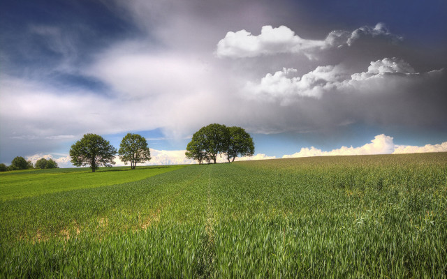 Field trees clouds blue sky #2 free wallpaper for desktop - medium preview image