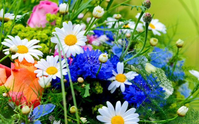 Flower bouquet blue white orange free wallpaper for desktop - medium preview image