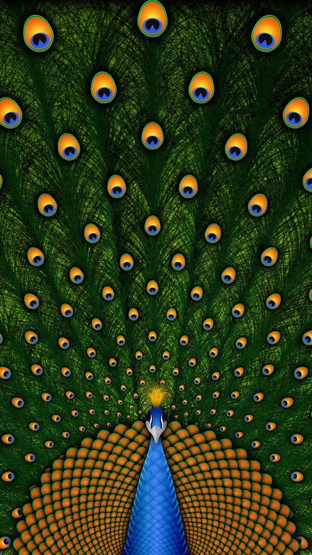 Peacock blue tail orange green free wallpaper for mobile - medium preview image