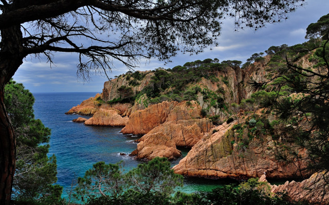 Rocky coastline lake forest cloudy free wallpaper for desktop - medium preview image