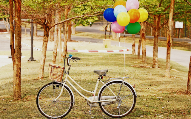 Bicycle balloons park basket outdoors free wallpaper for desktop - medium preview image