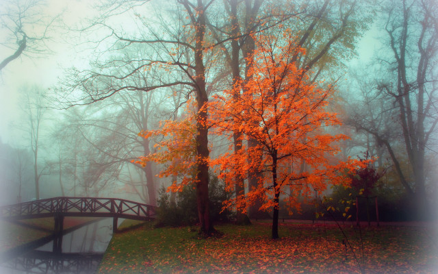 Bridge pond park autumn fog free wallpaper for desktop - medium preview image
