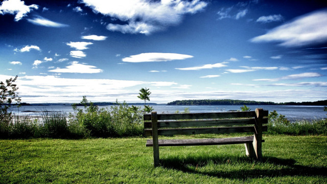 Wooden bench green lake sky free wallpaper for desktop - medium preview image